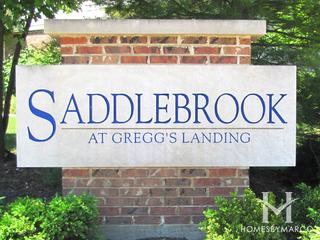 Saddlebrook