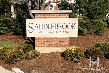Saddlebrook subdivision in the Gregg's Landing neighborhood of Vernon Hills, IL