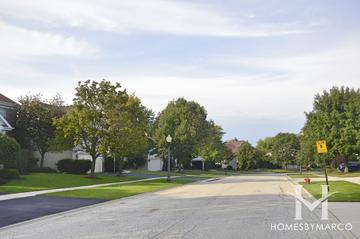 Cedar Crossing subdivision in Lake Villa, IL
