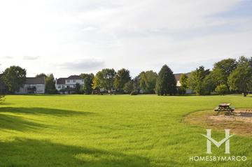 Cedar Crossing subdivision in Lake Villa, IL
