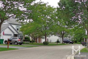 College Trail subdivision in Grayslake, IL
