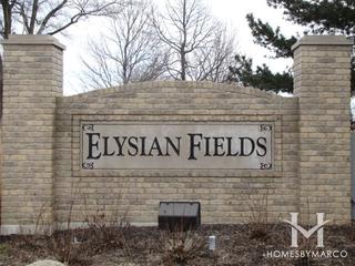 Elysian Fields
