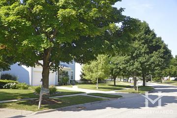 Cambridge West subdivision in Mundelein, IL