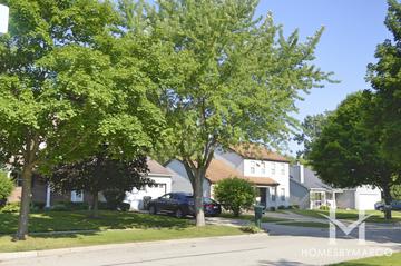 Cambridge West subdivision in Mundelein, IL