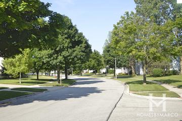 Cambridge West subdivision in Mundelein, IL