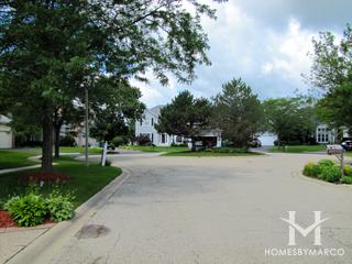 Hunters Ridge subdivision in Grayslake, IL