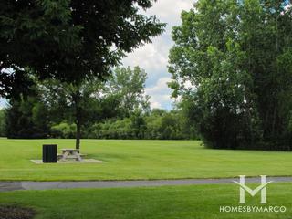 Hunters Ridge subdivision in Grayslake, IL