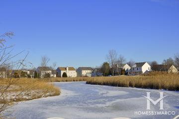 Misty Hill Farm subdivision in Hainesville, IL