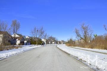Misty Hill Farm subdivision in Hainesville, IL