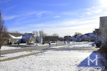 Misty Hill Farm subdivision in Hainesville, IL
