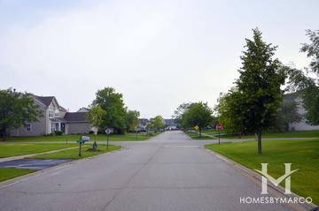 Misty Hill Farm subdivision in Hainesville, IL