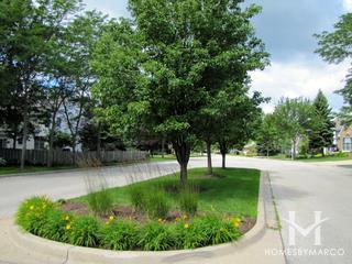 The Preserves subdivision in Grayslake, IL