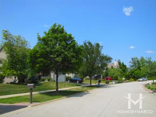Summerfields subdivision in Gurnee, IL