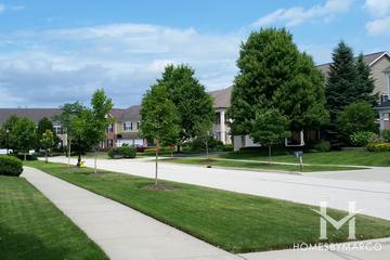 Pine Valley subdivision in the Gregg's Landing neighborhood of Vernon Hills, IL