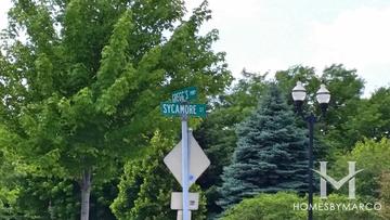 Pine Valley subdivision in the Gregg's Landing neighborhood of Vernon Hills, IL