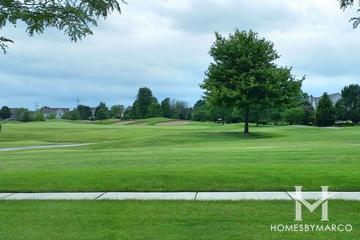Pine Valley subdivision in the Gregg's Landing neighborhood of Vernon Hills, IL