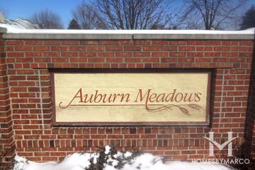 Auburn Meadows subdivision in Lindenhurst, IL