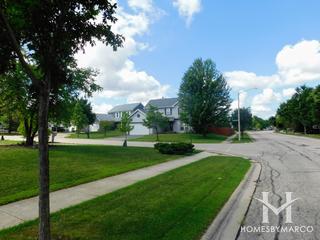 Bright Meadows subdivision in Round Lake, IL