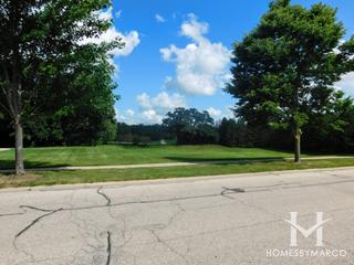 Bright Meadows subdivision in Round Lake, IL