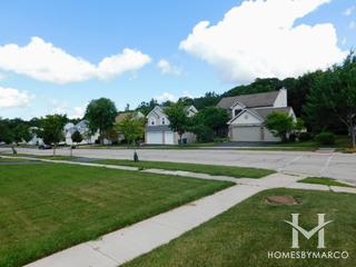 Bright Meadows subdivision in Round Lake, IL