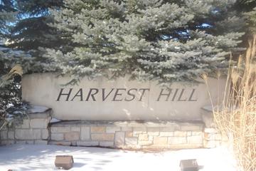 Harvest Hill subdivision in Lindenhurst, IL