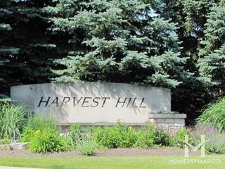 Harvest Hill