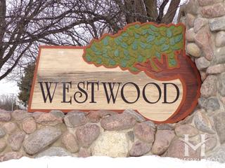 Westwood subdivision in Vernon Hills, IL