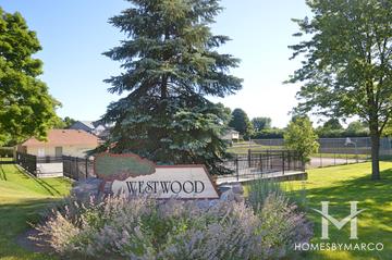 Westwood subdivision in Vernon Hills, IL