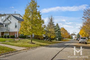 Cranberry Lake subdivision in Hainesville, IL