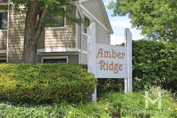 Amber Ridge subdivision in Palatine, IL