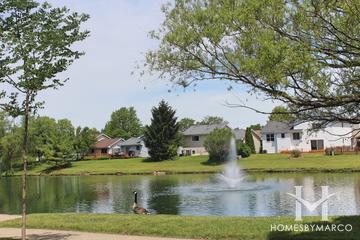 Amber Ridge subdivision in Palatine, IL