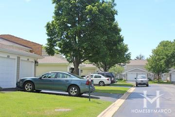 Amber Ridge subdivision in Palatine, IL