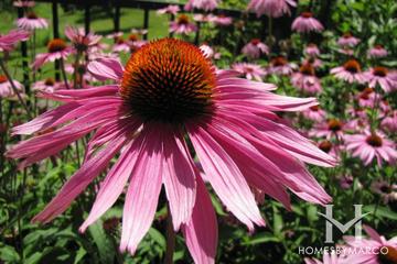 Arlington Club subdivision in Wheeling, IL