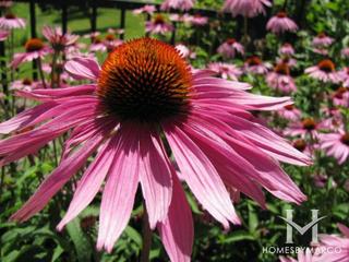 Arlington Club subdivision in Wheeling, IL