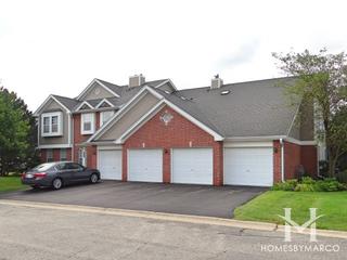 Arlington Trails subdivision in Arlington Heights, IL