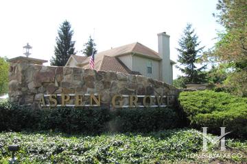 Aspen Grove