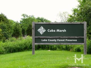 Braemar subdivision in Lake Zurich, IL