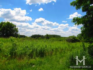 Braemar subdivision in Lake Zurich, IL