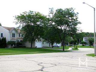 Braemar subdivision in Lake Zurich, IL