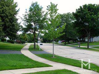 Braemar subdivision in Lake Zurich, IL