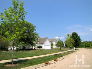 Apple Country subdivision in Wauconda, IL