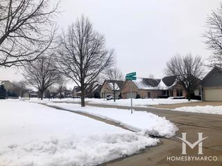 Woods of Antioch subdivision in Antioch, IL