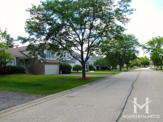 Bristol Trails subdivision in Lake Zurich, IL