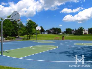 Bristol Trails subdivision in Lake Zurich, IL