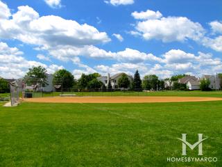 Bristol Trails subdivision in Lake Zurich, IL