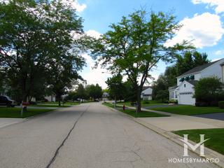 Bristol Trails subdivision in Lake Zurich, IL