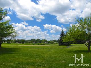 Cedar Creek subdivision in Lake Zurich, IL