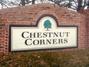 Chestnut Corners