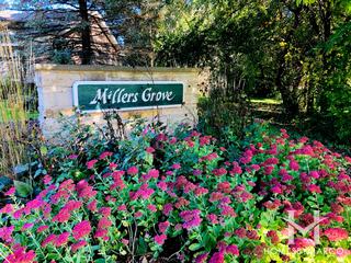Millers Grove