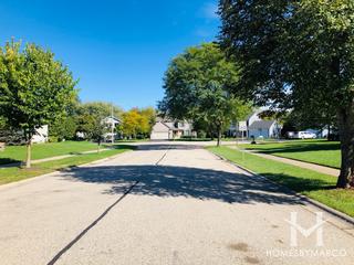 Millers Grove subdivision in Lake Zurich, IL